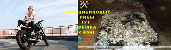 марки nbome Пролетарск