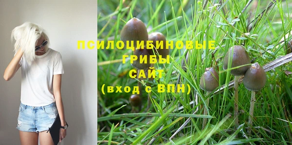 Альфа ПВП Приозерск