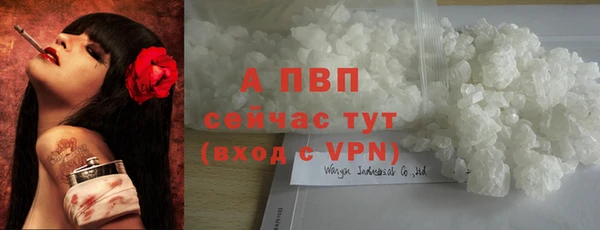 сатива Баксан