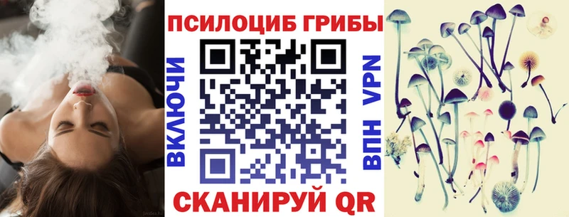 Галлюциногенные грибы Magic Shrooms  цена наркотик  Староминская 