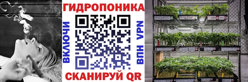Бошки Шишки марихуана  Староминская 